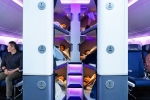 Air New Zealand Bunk Beds 2027, Air New Zealand Bunk Beds new updates, air new zealand introduces bunk beds in economy flights, Vietnam