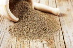 Carom Seeds, Ajwain, benefits of adding carom seeds to your diet, Carom seeds