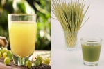 Amla Juice Vs Wheatgrass Juice for liver disease, Amla Juice, amla juice vs wheatgrass juice for fatty liver, Exercise