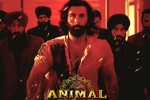 Animal film, Animal film, record breaking nominations for animal, Vishal
