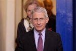 covid-19, Anthony Fauci, anthony fauci warns states over cautious reopening amidst covid 19 outbreak, Anthony fauci covid-19, Anthony Fauci, anthony fauci warns states over cautious reopening amidst covid 19 outbreak, Anthony fauci