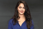 Anushka updates, Rajamouli, rrr to have a cameo of anushka, Anushka shetty