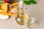 Apple Cider Vinegar, Apple Cider Vinegar benefits, health benefits of apple cider vinegar, Tips