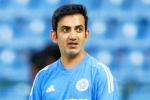 Gautam Gambhir coach, Gautam Gambhir retirement, bcci to sack gautam gambhir, Pio