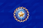 Champions Trophy 2025 breaking, Champions Trophy 2025 breaking, bcci breaks silence on refusal to sport pakistan logo, International cricket council