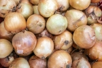 Black Fungus on Onions Sparks Discussion