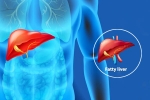 Fatty Liver Disease News latest, Fatty Liver Disease News, body organs that can be affected by fatty liver disease, Fatty liver disease news