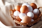 Brown Eggs Vs White Eggs which is good, Brown Eggs Vs White Eggs which is bad, brown eggs vs white eggs which is healthy, Minerals Brown Eggs Vs White Eggs which is good, Brown Eggs Vs White Eggs which is bad, brown eggs vs white eggs which is healthy, Minerals