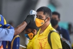 IPL, COVID-19, csk indian player 11 support staff test positive for covid 19, Ipl 2020