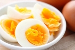 Can Egg Yolk Increase Cholesterol?