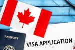 Canada's study visa approvals Indian students, Canada's study visa approvals India, canada s study visa approvals for indian students to drop by 50 in 2024, Immigration policies