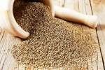 Chewing Ajwain after dinner, Chewing Ajwain for health, can chewing ajwain after dinner relieve acidity, Nights