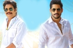 Bangarraju trailer talk, Bangarraju, ten days worldwide collections of bangarraju, Soggade chinni nayana