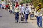 Coronavirus Infections, Coronavirus Infections, coronavirus death rates are less but cases have increased after migrants moved, Economists