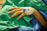 nipah virus life cycle, nipah virus origin, here s how you can prevent deadly infection nipah virus from affecting you, Nipah virus