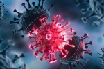 USA Coronavirus latest updates, USA Coronavirus breaking news, delta variant makes usa tensed again, Covid 19 patients