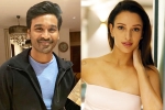 Triptii Dimri breaking updates, Triptii Dimri breaking news, dhanush to romance animal actress triptii dimri, Uttar pradesh