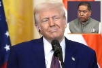 Donald Trump on Russian Oil Promise latest, Donald Trump on Russian Oil Promise India, india responds to trump s claim on russian oil promise, Sti