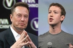 Elon Musk Vs Mark Zuckerberg new updates, Elon Musk Vs Mark Zuckerberg breaking news, elon musk vs mark zuckerberg rivalry, Mark zuckerberg