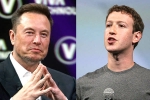 Elon Musk and Mark Zuckerberg flight, Elon Musk and Mark Zuckerberg news, elon vs zuckerberg mma fight ahead, Mark zuckerberg