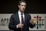 Facebook investors, Facebook, facebook ceo refuses to quit amid pressure from investors, Mark zuckeberg