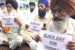 produce, produce, why farmers and politicians are against modi s farm laws, State governments