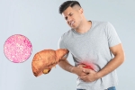 Fatty Liver news, Fatty Liver, fatty liver can be reversed in just one month, Better