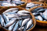 Fish advantages, Fish hair loss, eat this fish twice a week to stop hair loss, The