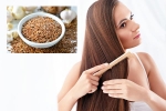 Flaxseeds breaking updates, Flaxseeds breaking news, how flaxseeds can help for a long and healthy hair, Recipe