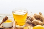 Ginger And Honey for lungs, Ginger And Honey for lung health, ginger and honey benefits for lung health, Store