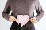 Gut Vs Skin latest breaking, Gut Vs Skin news, your gut decides about your skin, Guru