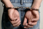 Indian-origin sentenced jail for money laundering, Indian-origin sentenced jail for money laundering, indian origin pleaded guilty to money laundering, Insurance company