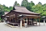 Japan Viral Mikami Shrine famous, Japan Viral Mikami Shrine viral, why are travellers flocking to japan s viral mikami shrine, Rti