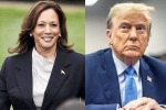 Kamala Harris Vs Donald Trump, Kamala Harris Vs Donald Trump news, kamala harris leads donald trump in the new poll, A new survey