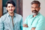 Mahesh Babu and Rajamouli Film breaking, Mahesh Babu and Rajamouli Film shoot, interesting updates about mahesh babu and rajamouli film, Ss rajamouli