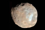 Martian Moon clicks, Martian Moon new breaking, nasa s pic of martian moon phobos breaks the internet, Frigid