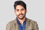 Love Story, Love Story, interesting title for naga chaitanya s next, Venky mama