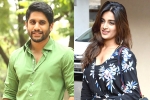 Niddhi Agerwal, Naga Chaitanya, chaitu to romance niddhi agerwal, Niddhi agerwal