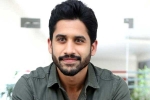 Naga Chaitanya, Naga Chaitanya movies, naga chaitanya coming up with a strong lineup of films, Soggade chinni nayana