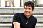 Nagarjuna 100th film, Nagarjuna new movies, nagarjuna s 100th film will be a multi starrer, Nagarjuna 100th film