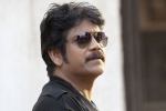 Nagarjuna next, Nagarjuna news, nag signs a bollywood flick, Devadasu