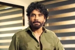 Nagarjuna Personal Rights court, Nagarjuna Personal Rights updates, delhi high on nagarjuna s personal rights, Youtube