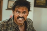 Narappa latest updates, Narappa trailer news, venky s narappa trailer talk, Sreekanth addala