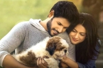 Ninu Veedani Needanu Nene movie review, Ninu Veedani Needanu Nene Movie Tweets, ninu veedani needanu nene movie review rating story cast and crew, Tada Ninu Veedani Needanu Nene movie review, Ninu Veedani Needanu Nene Movie Tweets, ninu veedani needanu nene movie review rating story cast and crew, Tada
