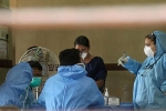 symptoms of Nipha virus, symptoms of Nipha virus, nipah virus alerts hyderabad with symptoms from two suspected victims, Nipah virus