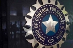 Team India, World Cup 2027 India Probables new updates, odi world cup 2027 probables decided by bcci, Ipl 2026