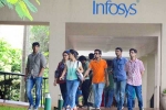infosys employees abroad, infosys employees abroad, over 2 000 infosys employees earning more than rs 1 cr abroad, Noah consulting