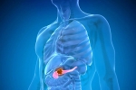 Pancreatic Cancer special treatment, Pancreatic Cancer, how to protect yourself from pancreatic cancer, B roll