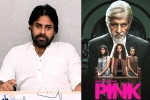 Pawan Kalyan latest, Pawan Kalyan in Pink, powerstar in talks for pink remake, Pink remake Pawan Kalyan latest, Pawan Kalyan in Pink, powerstar in talks for pink remake, Pink remake