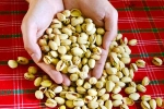 Pistachios rich in proteins, Pistachios updates, pistachios are a perfect protein snack, Love